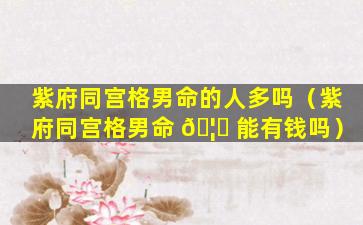 紫府同宫格男命的人多吗（紫府同宫格男命 🦁 能有钱吗）